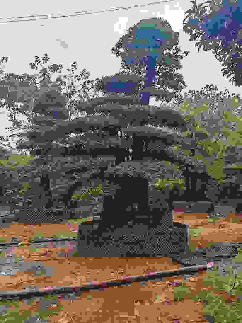 金弹