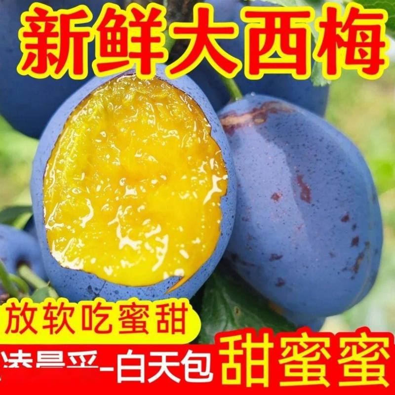 🔥大荔蓝西梅上新产地直采，现摘现发果皮自带天然果粉