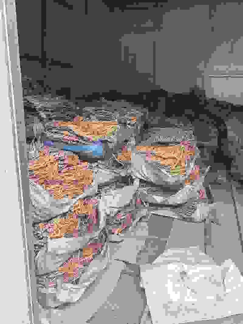 白条党参