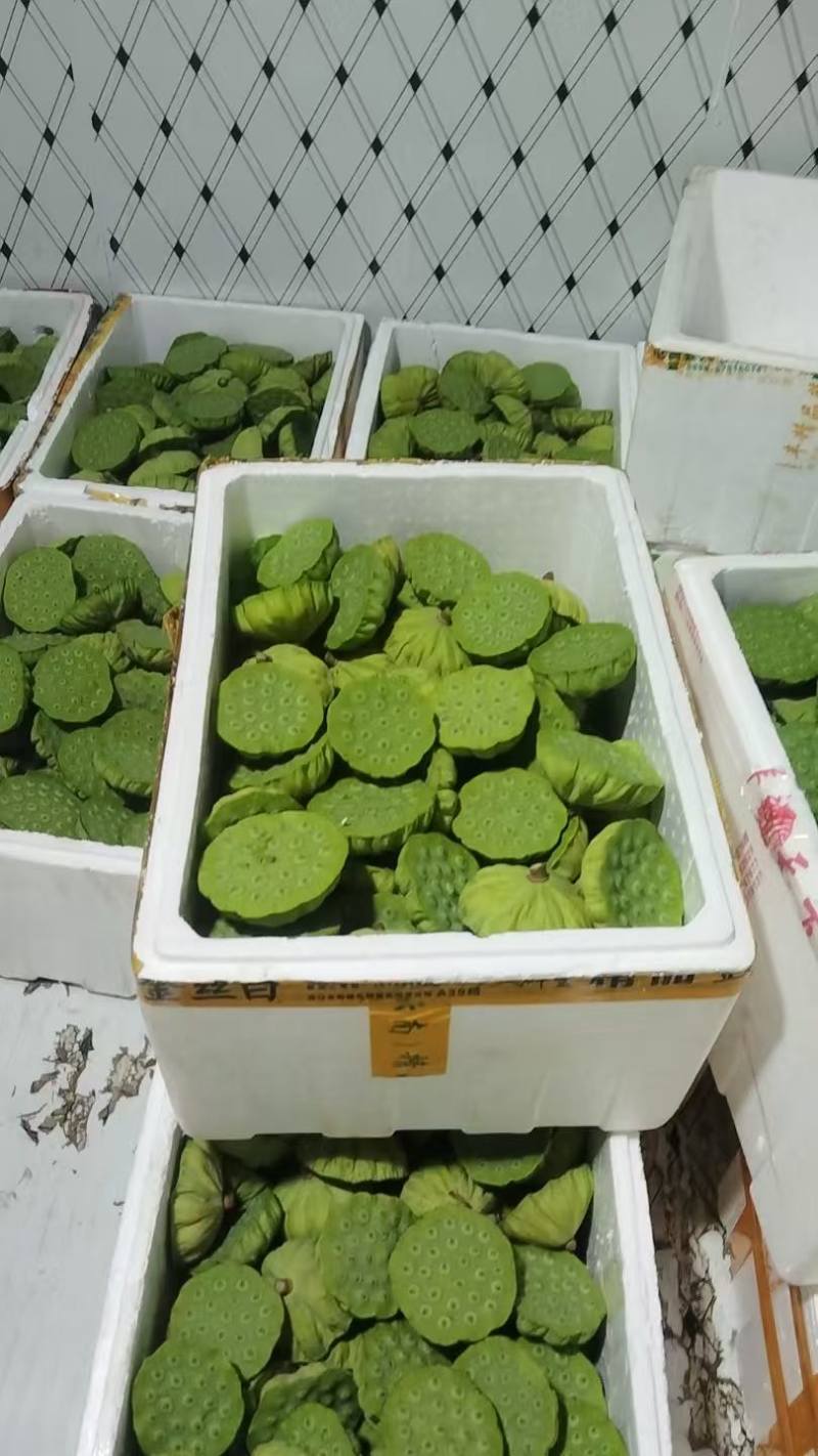 江西水果莲蓬