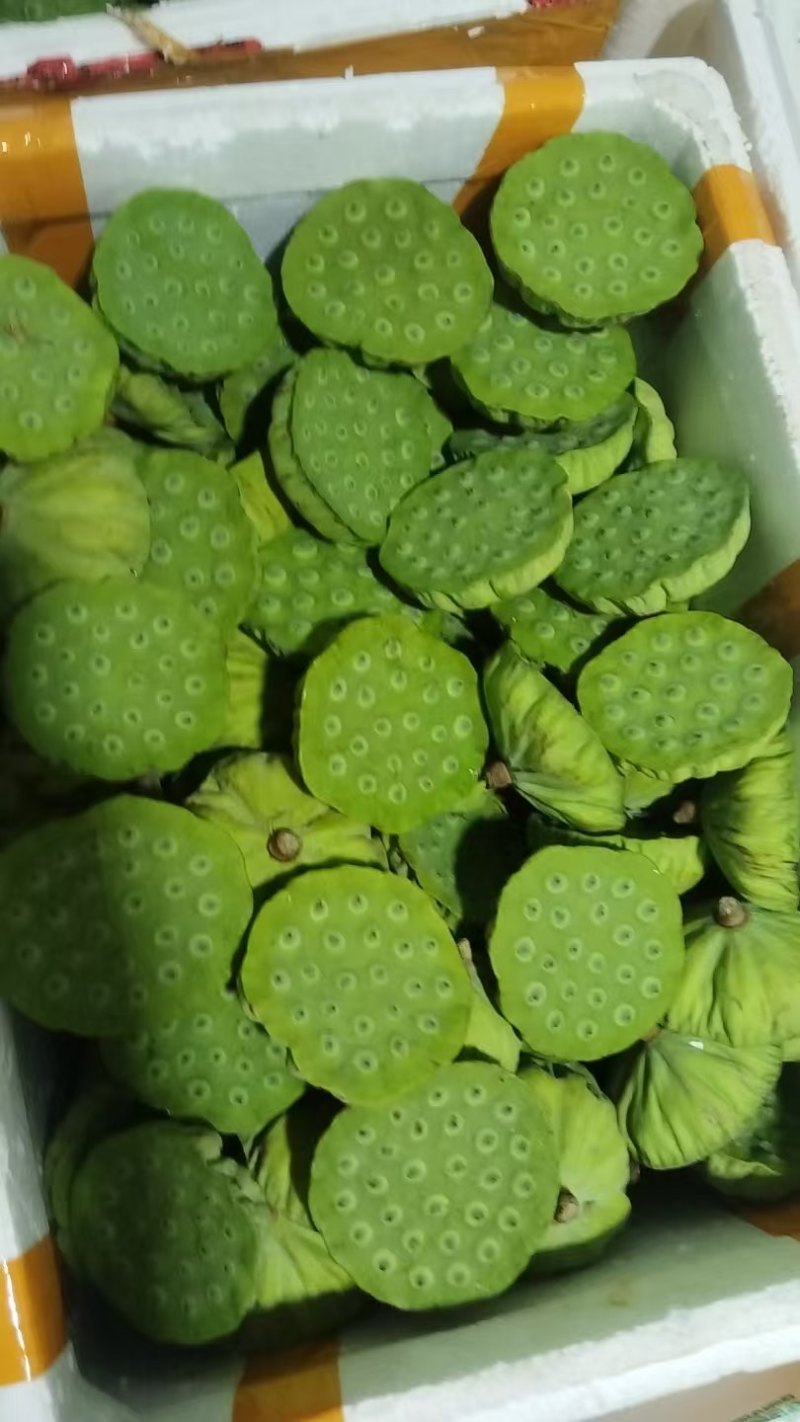 江西水果莲蓬