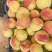 北京十四号大量上市保质保量产地直发