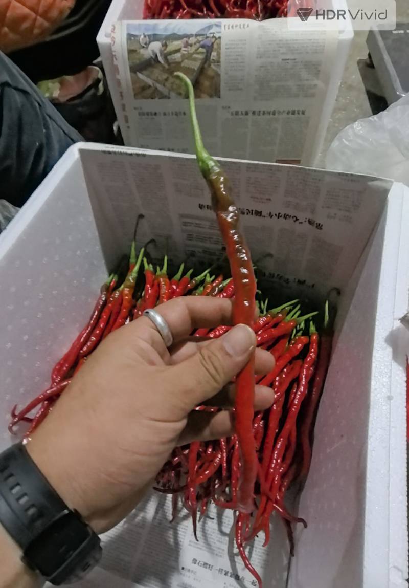 贵州本地鸡肠红