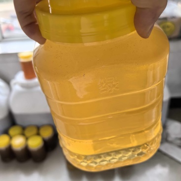 椴树蜜