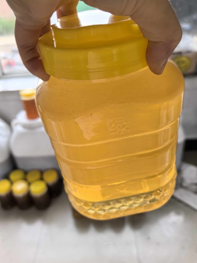 椴树蜜