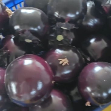 质量好量大