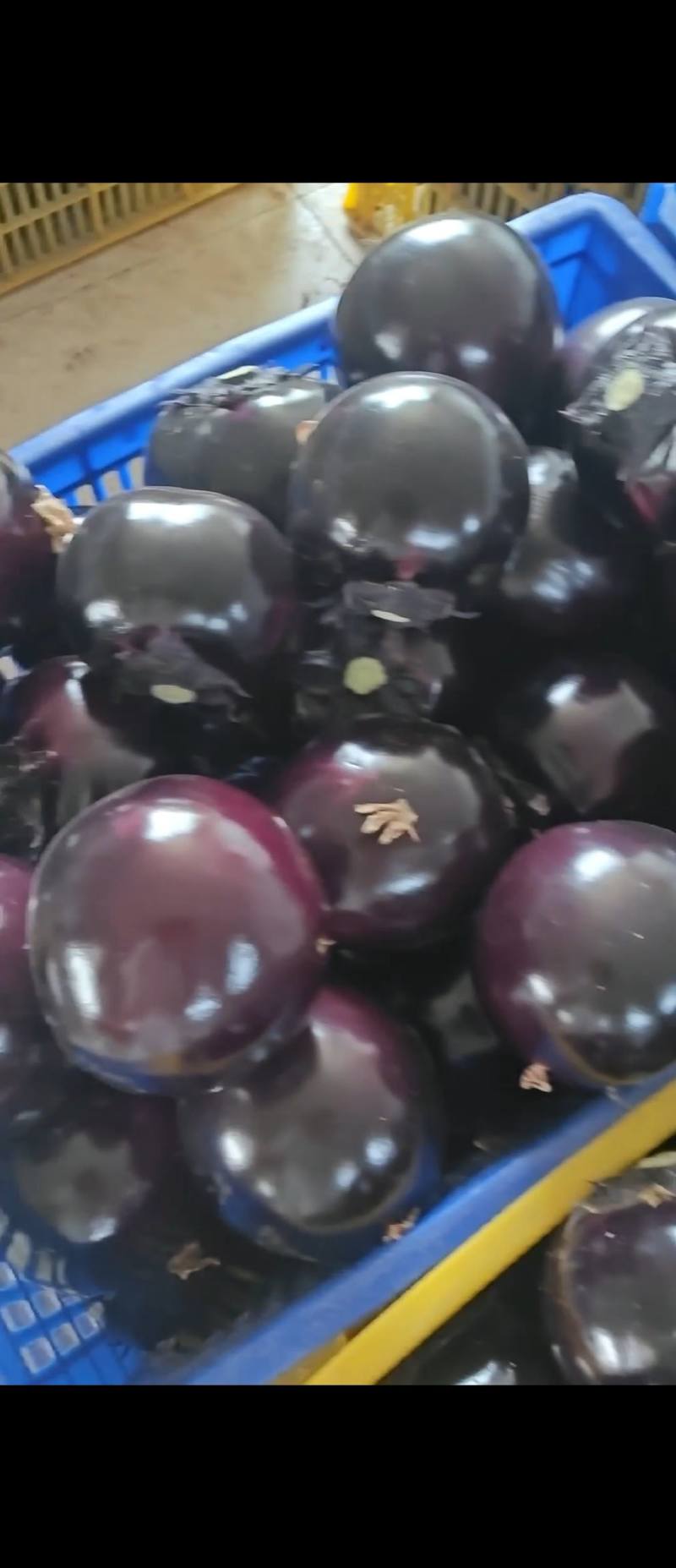 质量好量大
