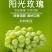 10万斤阳光明媚