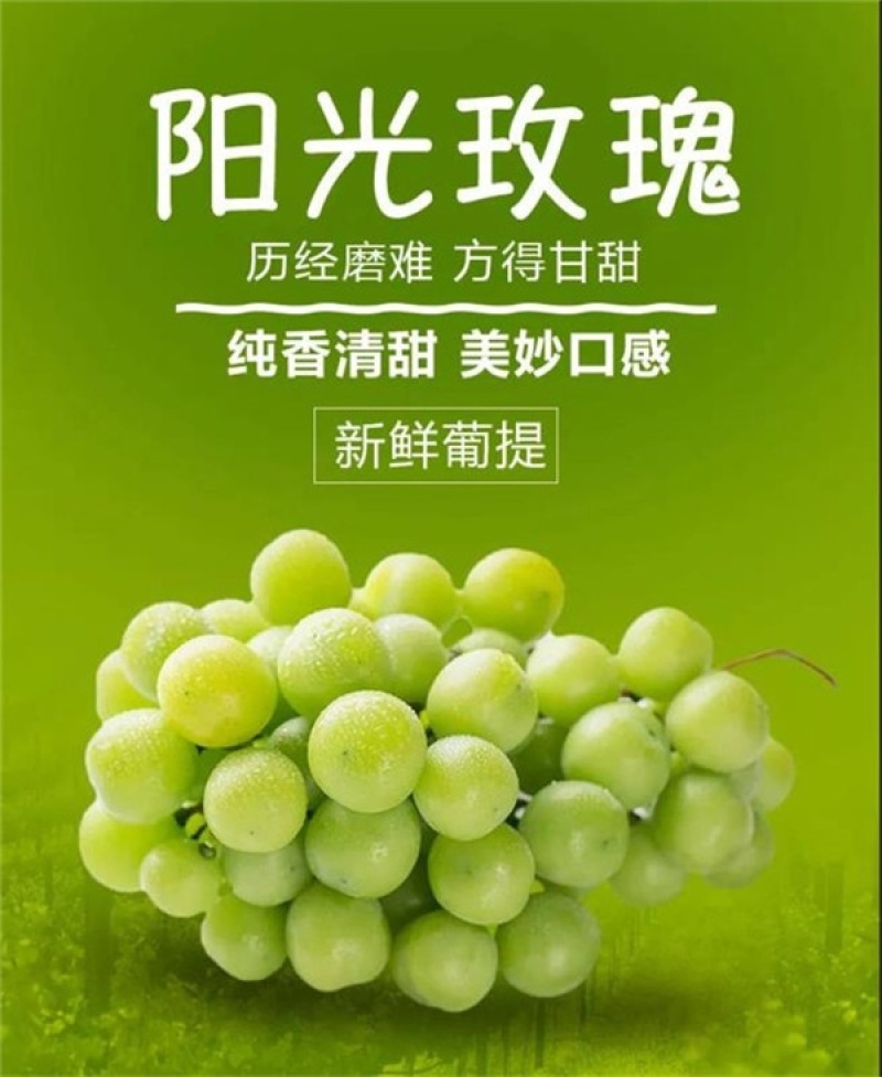 10万斤阳光明媚