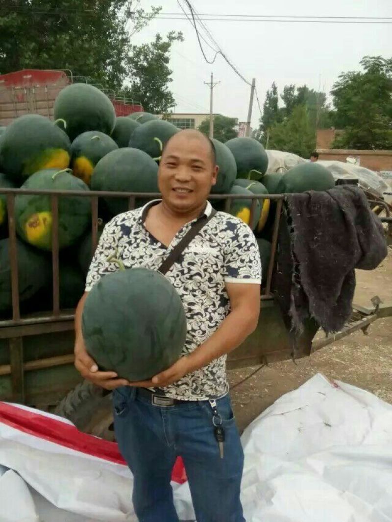 正品保障西瓜全国包邮