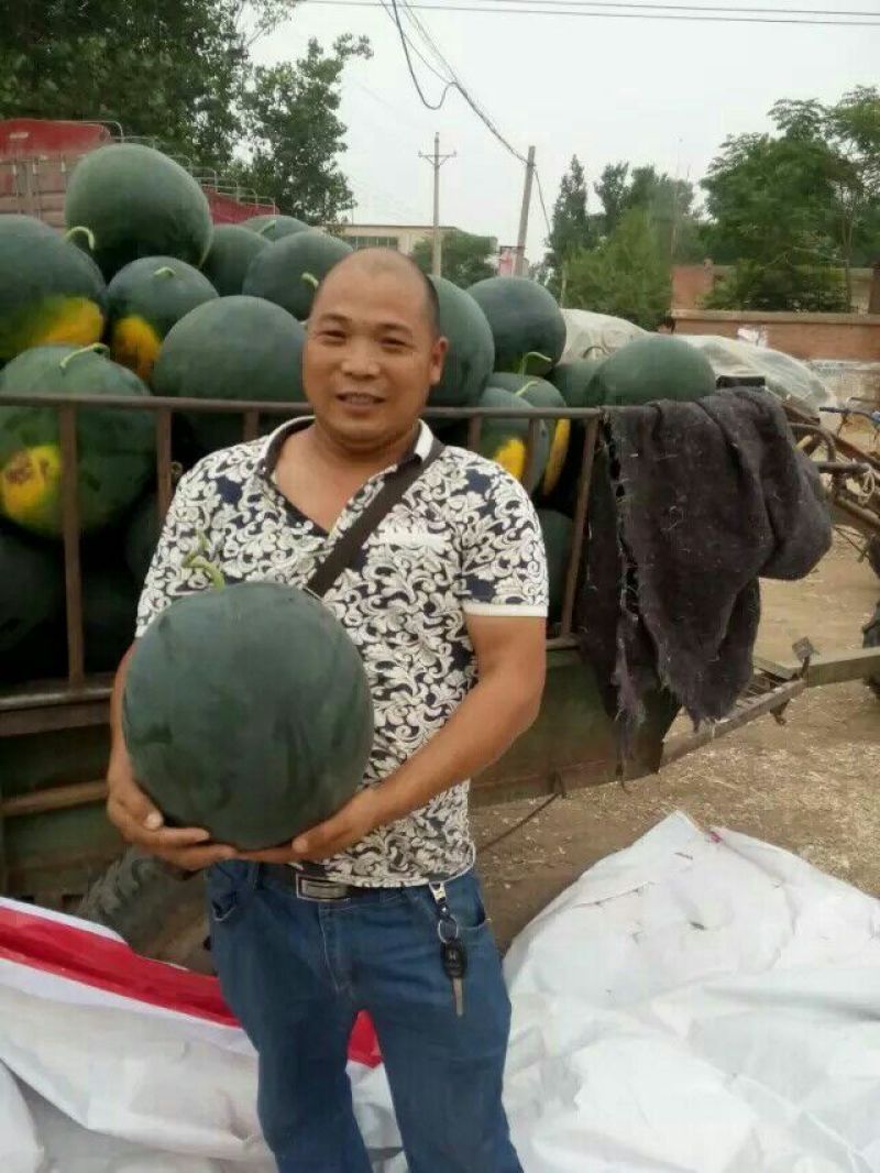 正品保障西瓜全国包邮
