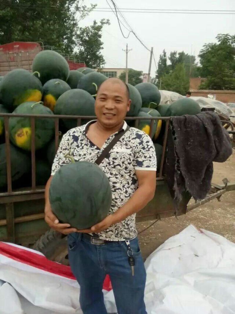 正品保障西瓜全国包邮