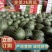 全网优质货源西瓜长期供应量大优惠