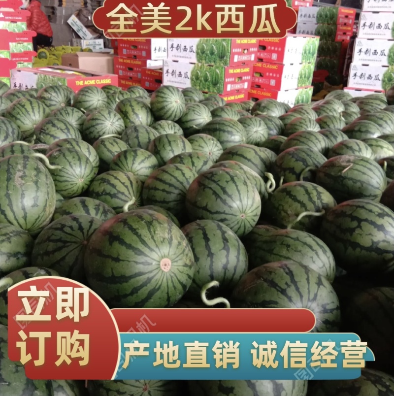 全网优质货源西瓜长期供应量大优惠