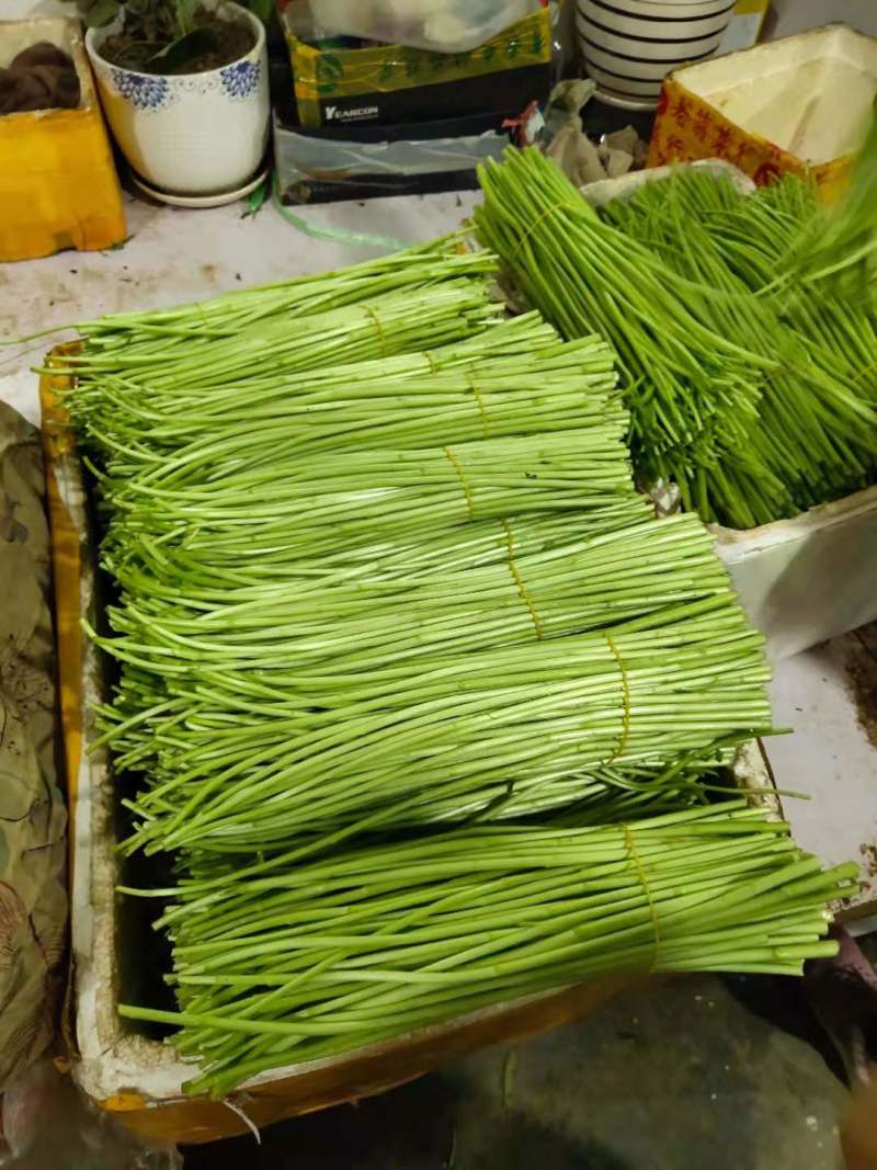 应季芦篙一手货源欢迎联系