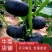 一件代发贝贝南瓜山东新疆贝贝南瓜粉度超高贝贝南瓜老瓜都有