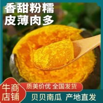 南瓜，贝贝南瓜软糯香甜，产地直发量大，从优，价格商议