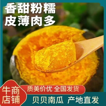 南瓜，贝贝南瓜软糯香甜，产地直发量大，从优，价格商议