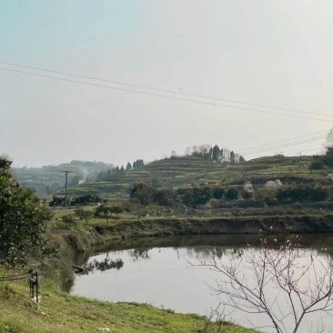 水产养殖用地