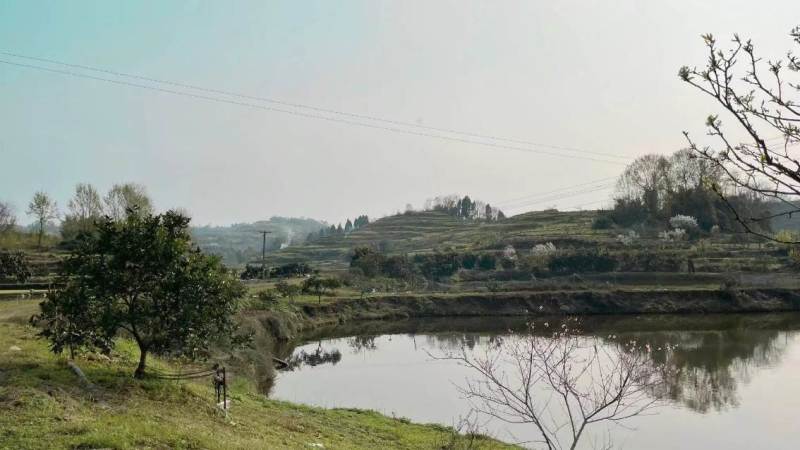 水产养殖用地