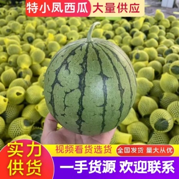 美都无籽西瓜，13个糖