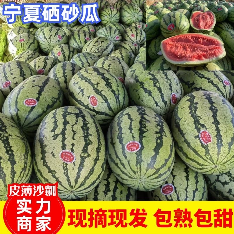 西瓜最新日期全国包邮量大从优
