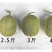 海南哈密瓜，小蜜25号大量有货价格下降，质量保障