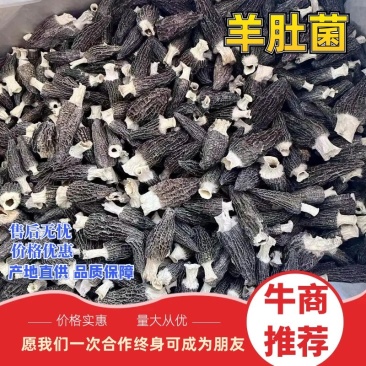 【羊肚菌】产地直销六妹七妹羊肚菌价格优惠品质多样售后无忧