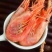 超高性价比北极虾现捕现发欢迎联系
