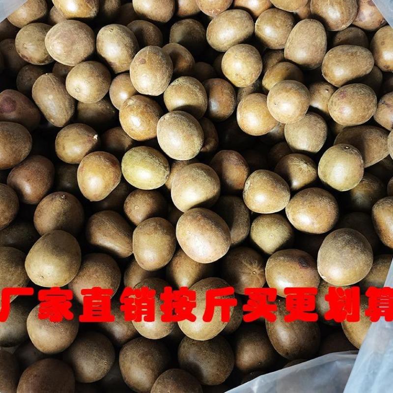 厂家直销罗汉果价格美丽实惠货源充足无忧