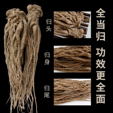 ***当归全国供应厂家直销