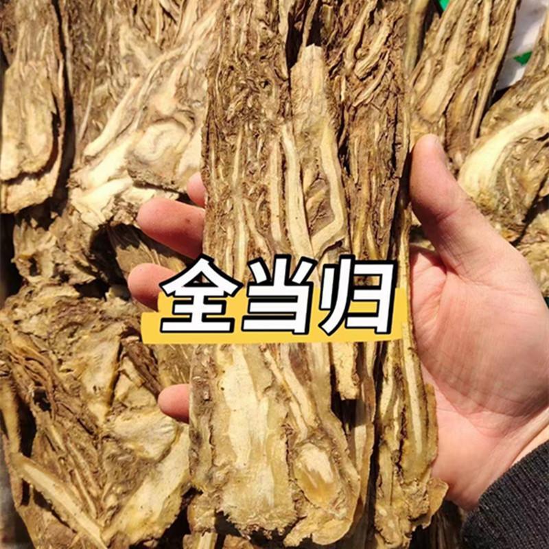 长期供应当归全国范围欢迎联系品质有保障