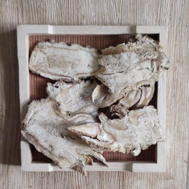 长期供应当归全国范围欢迎联系品质有保障
