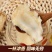 全国供应***当归24小时在线服务***品质新鲜直发