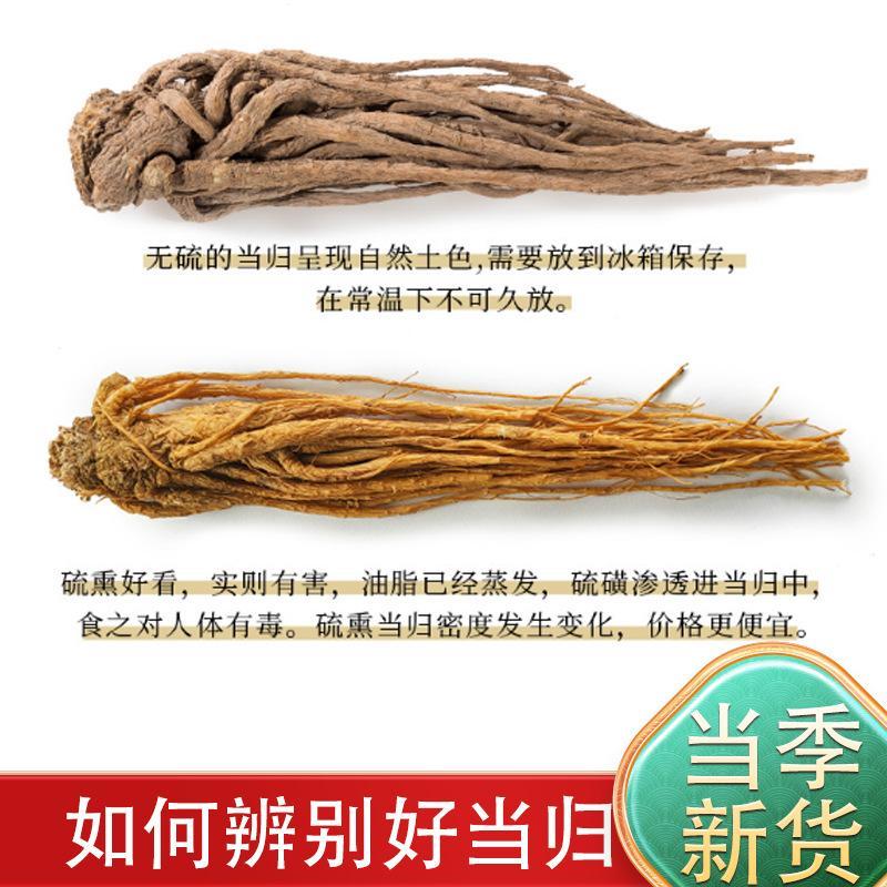 新鲜当归产地直发24小时在线咨询长期有货随时发货