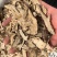 自给自足品质无忧新鲜当归货量充足营养全面