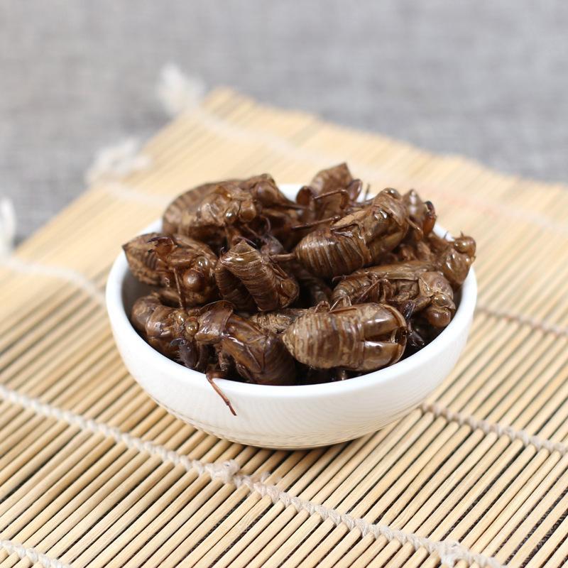 蝉蜕一手货源规格齐全马上欢迎联系