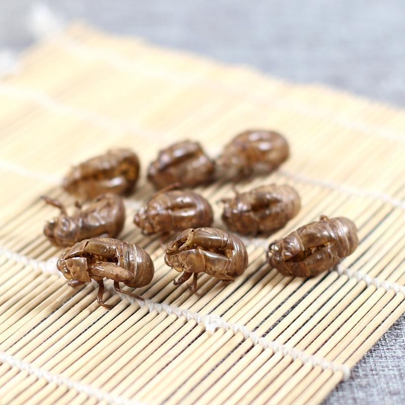 蝉蜕一手货源规格齐全马上欢迎联系