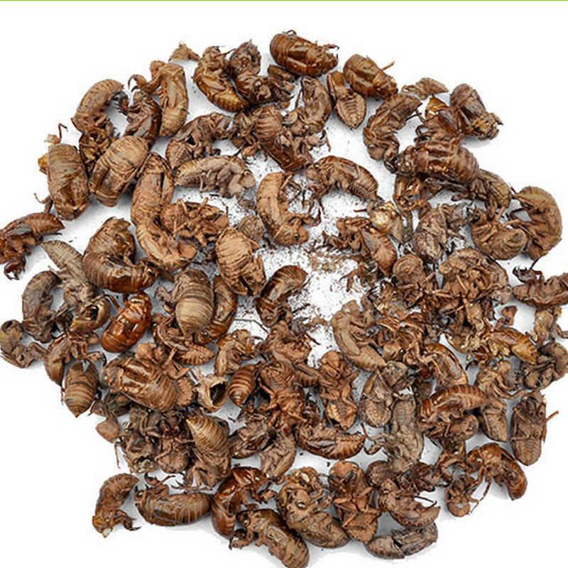 原产地蝉蜕现货秒发品质保证欢迎电话咨询