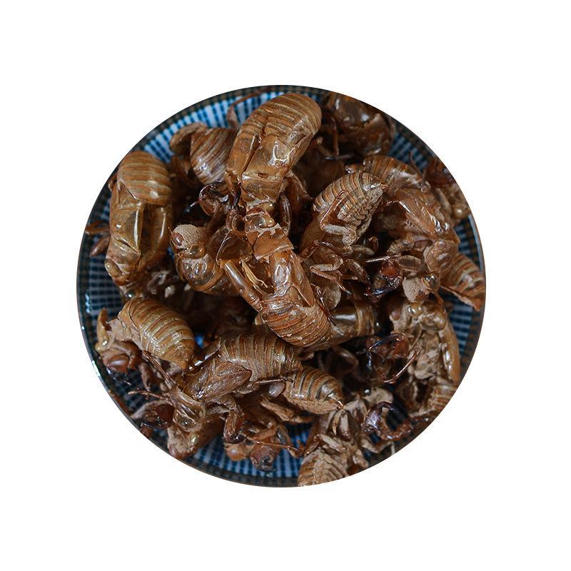 新鲜蝉蜕正宗无杂质货源充足