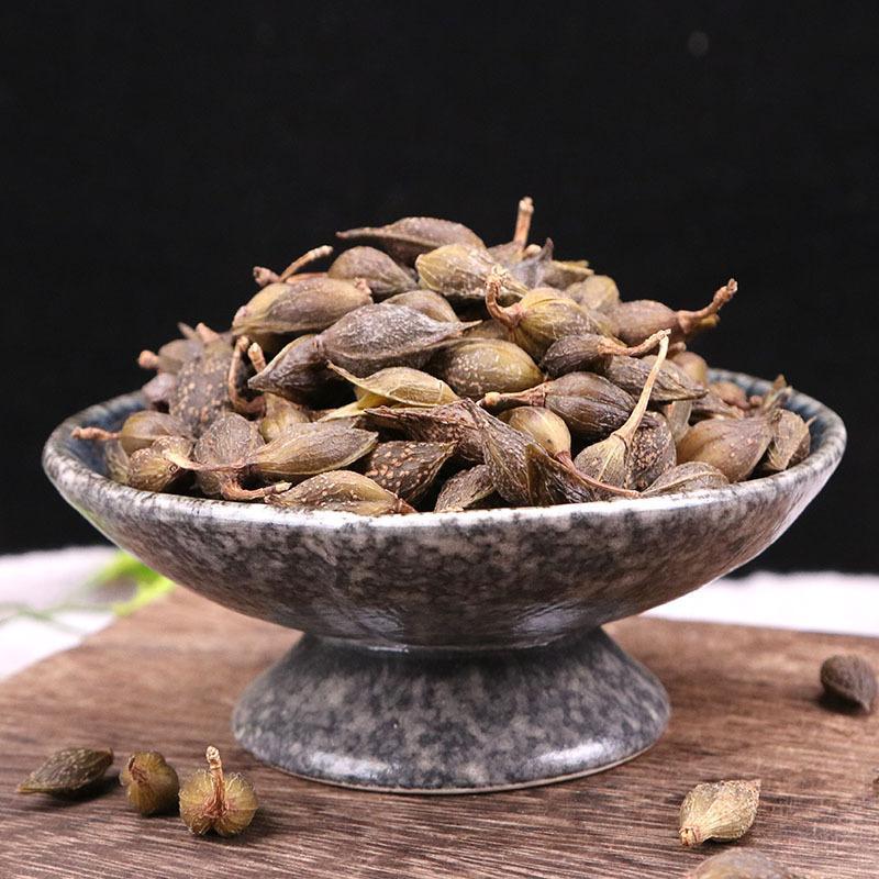 无柄青翘，挥发油含量2.6.，长年有大货