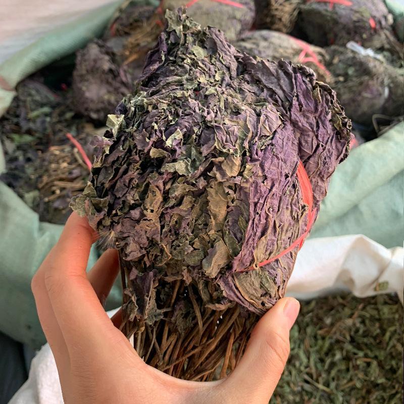 新鲜紫苏叶长期供应***更健康欢迎联系