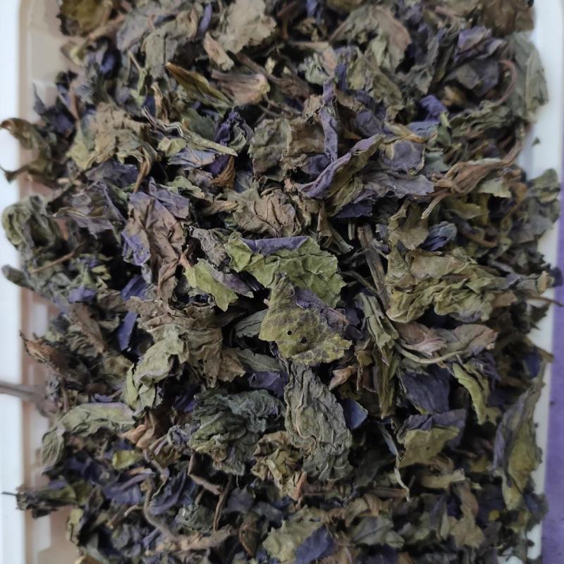 电话咨询优选紫苏叶精品货源随时有货