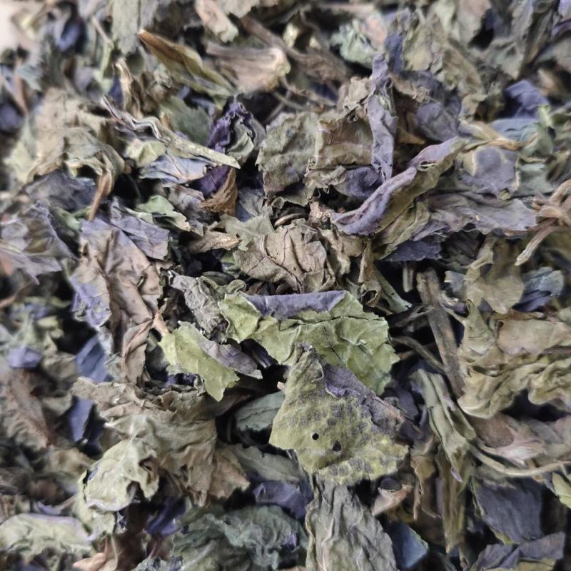 电话咨询优选紫苏叶精品货源随时有货