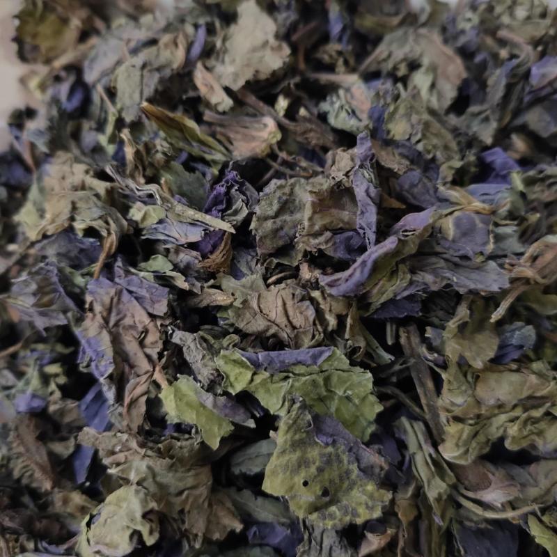 电话咨询优选紫苏叶精品货源随时有货