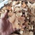 土茯苓热卖中全网低价正品保证快来联系我们吧