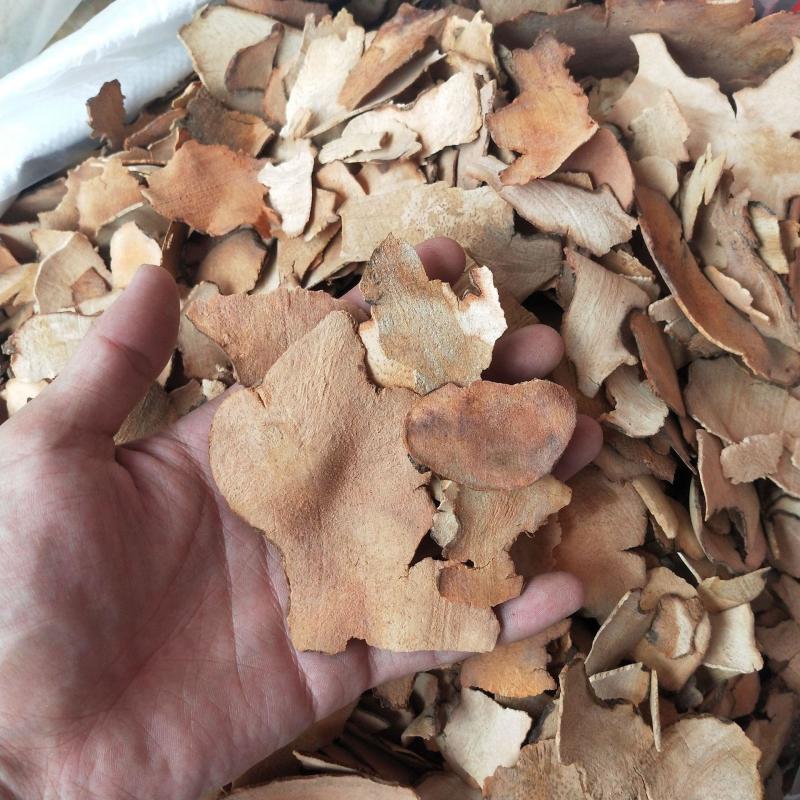 土茯苓热卖中全网低价正品保证快来联系我们吧