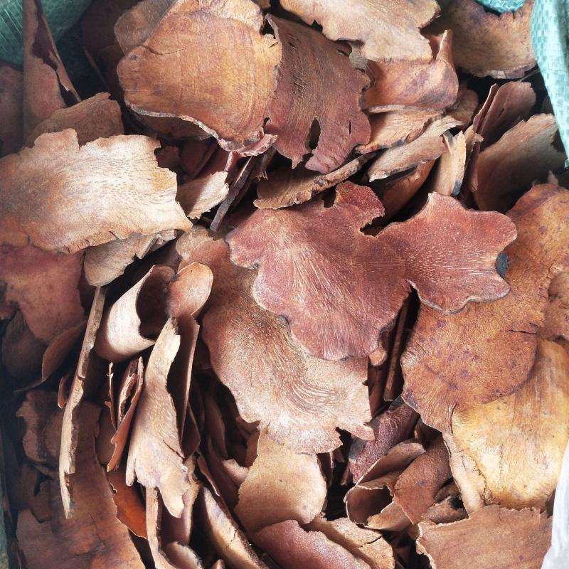 土茯苓热卖中全网低价正品保证快来联系我们吧