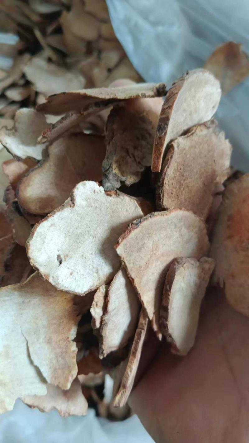 全国供应精品土茯苓长期有货新鲜采挖产地直发