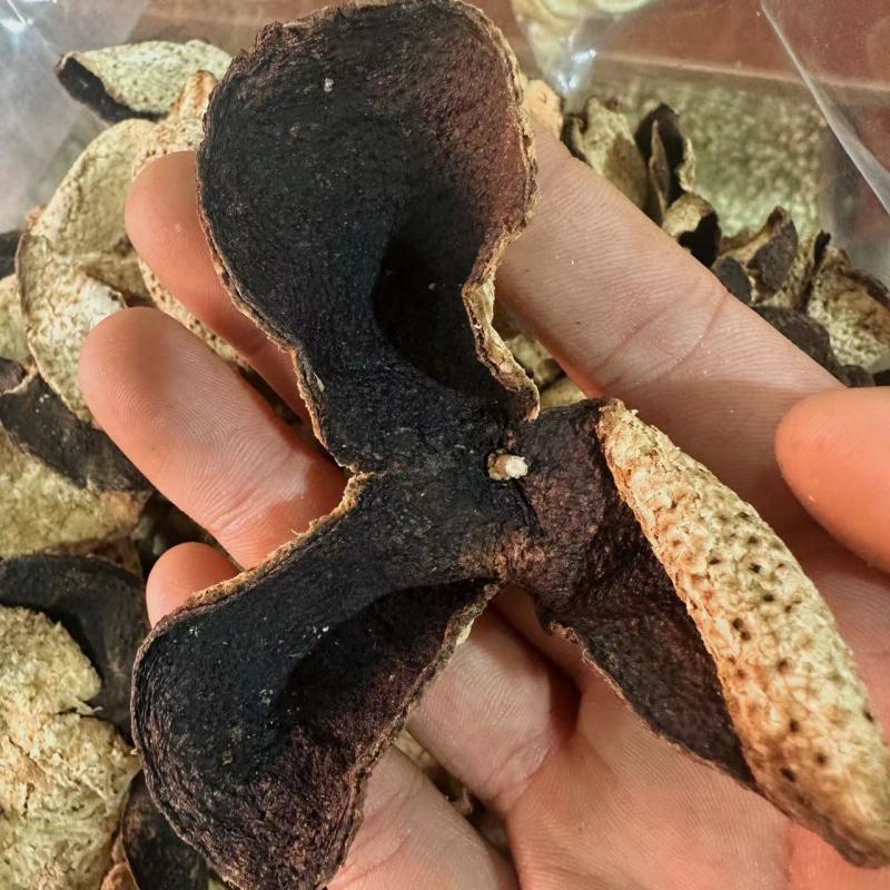 新鲜陈皮产地直接发货品质保证营养丰富健康无忧